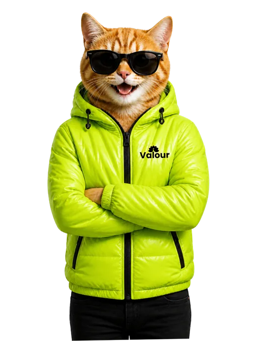 Valour mascot standing inside a dark circle